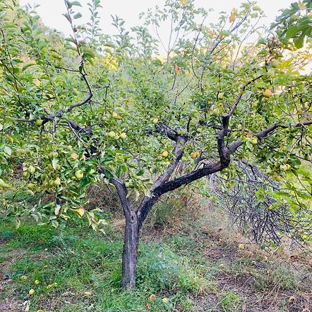 Barranco De La Salud ξενώνας Laroles Δωμάτιο φωτογραφία
